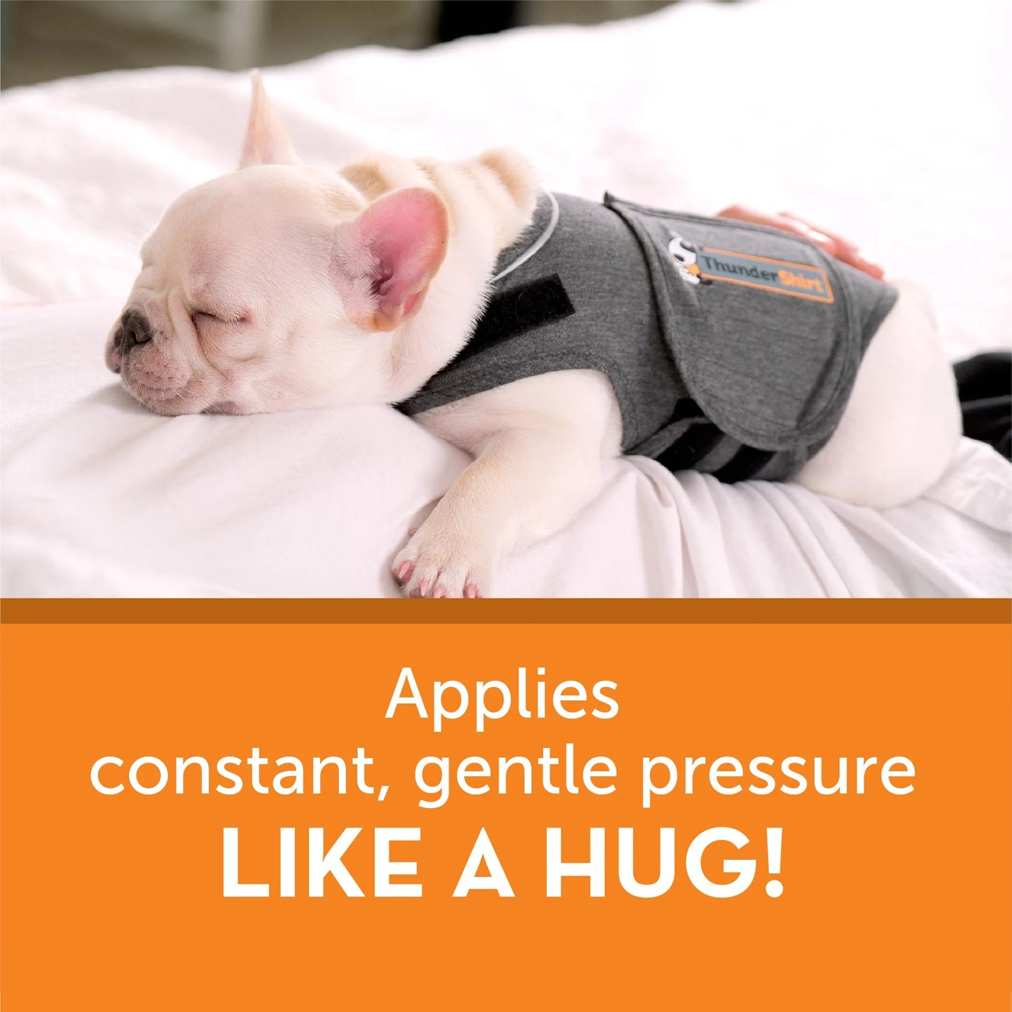 ThunderShirt® for Dogs